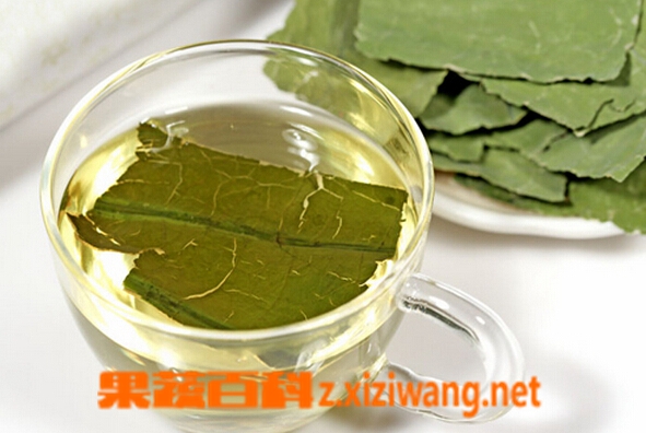 果蔬百科荷叶茶