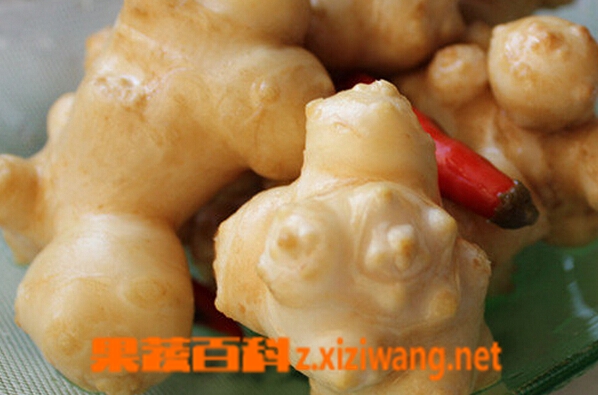 果蔬百科洋姜泡菜