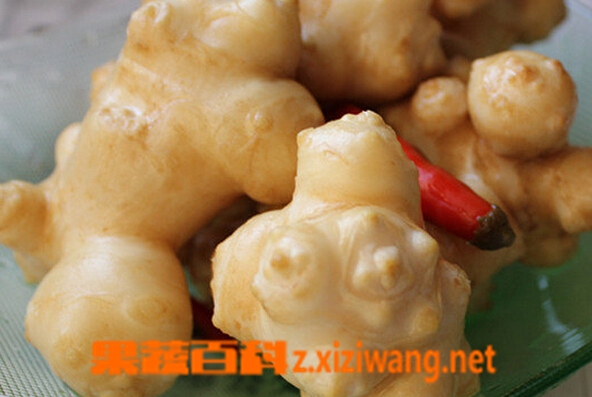果蔬百科洋姜能做泡菜吗