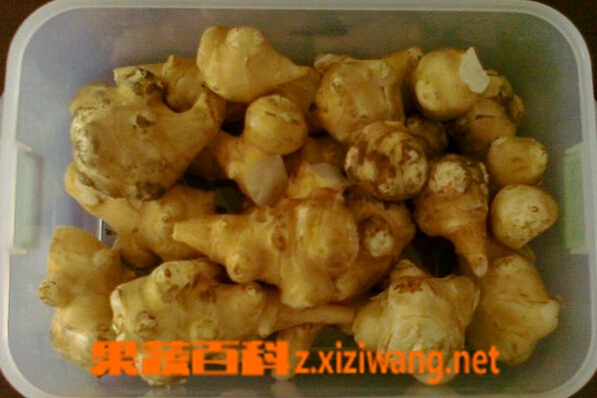 果蔬百科洋姜不能与什么同食