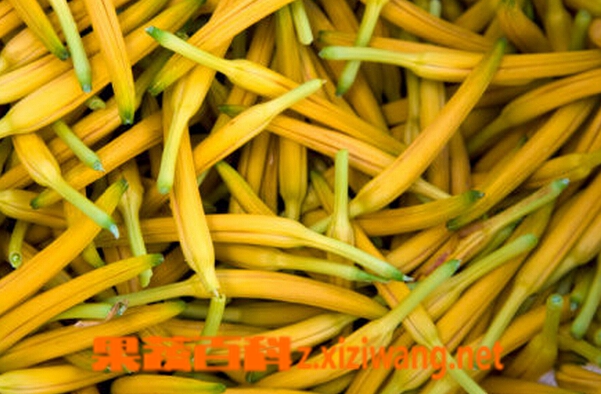 果蔬百科黄花菜