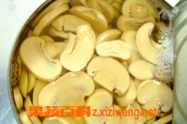 果蔬百科草菇罐头