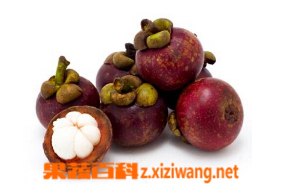果蔬百科山竹不能和什么一起吃