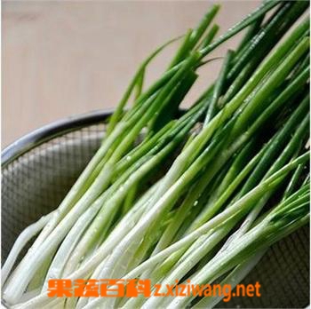 果蔬百科小葱与香葱区别