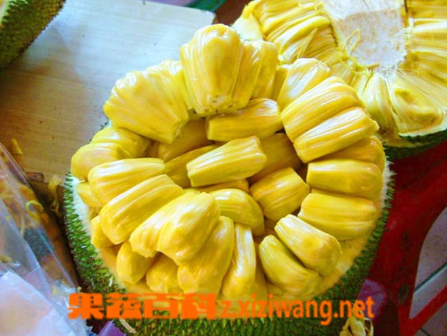 果蔬百科木菠萝怎么吃