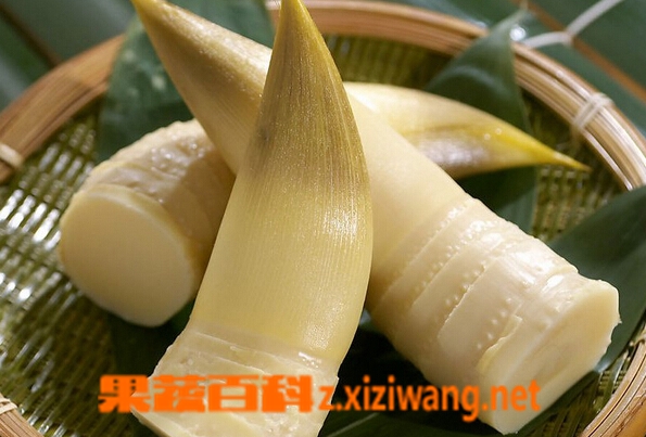 果蔬百科如何鉴别竹笋是否变质
