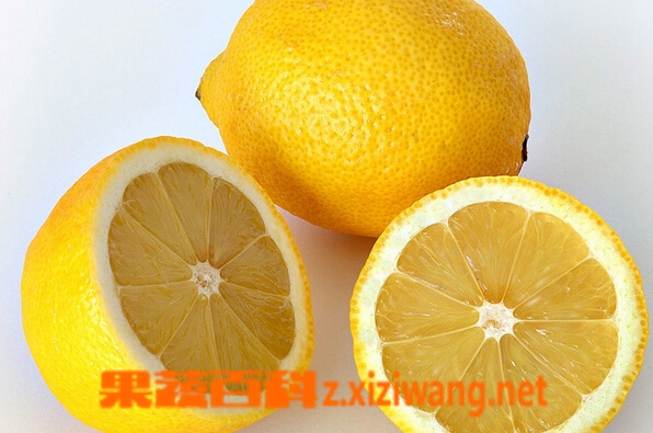 果蔬百科鲜柠檬片泡水减肥法