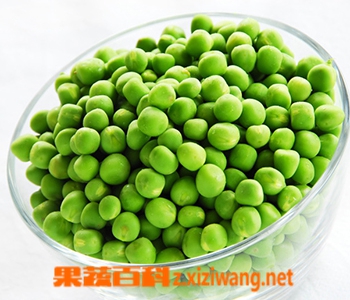 果蔬百科青豆的功效与作用