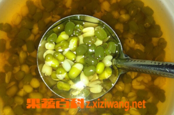 果蔬百科绿豆汤的功效与禁忌