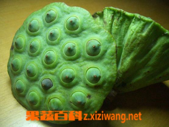 果蔬百科莲蓬怎么吃?吃莲蓬有什么好处?