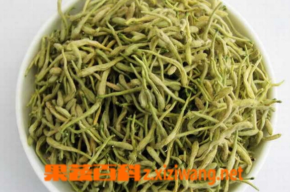 果蔬百科夏季喝什么茶好