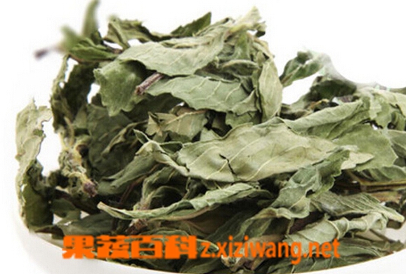果蔬百科如何制作荷叶茶