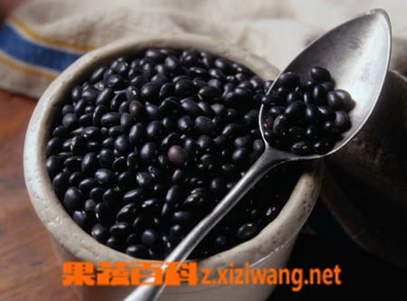 果蔬百科女人每天喝黑豆豆浆好处