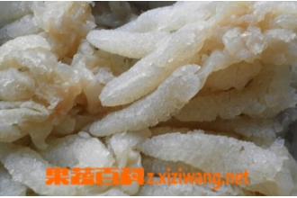 海蜇头保存方法 保存后海蜇头如何吃