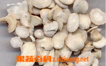 果蔬百科白芍的功效与作用