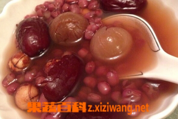 果蔬百科红豆薏米桂圆