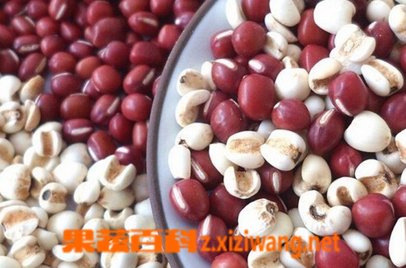 果蔬百科红豆薏米芡实的功效