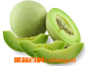 果蔬百科绿皮香瓜营养价值