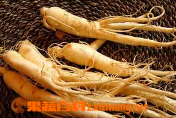 果蔬百科老人吃什么补品好