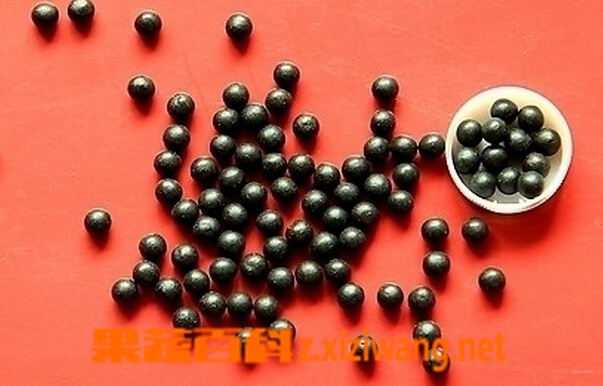 果蔬百科六味地黄丸