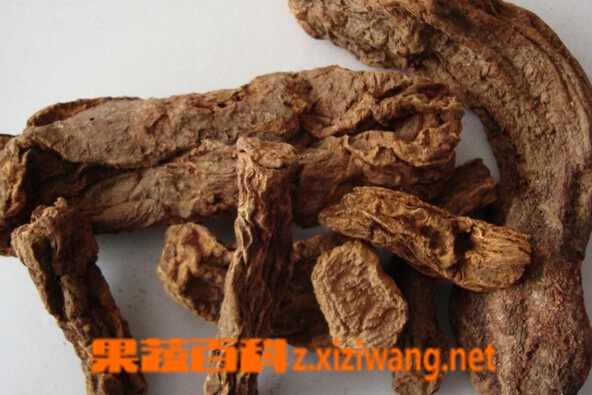果蔬百科锁阳