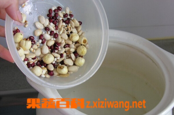 果蔬百科莲子薏米红豆粥