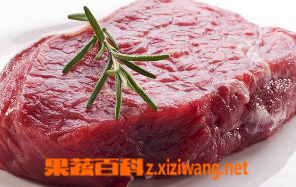 果蔬百科孕妇能吃牛肉吗