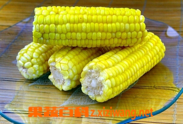 果蔬百科什么食物能提高记忆力
