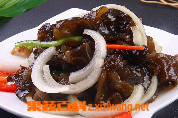 果蔬百科促进血液循环的食物有哪些