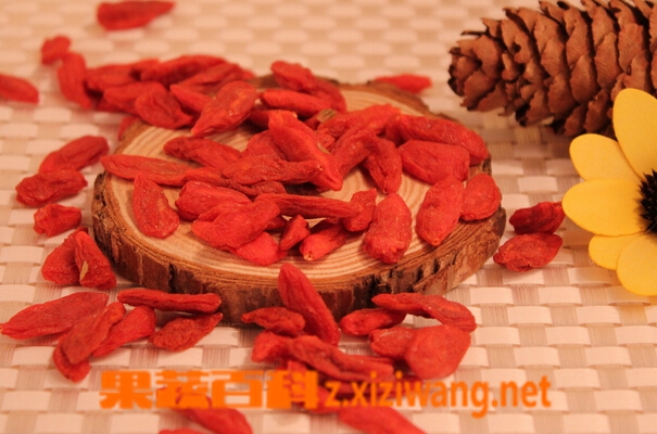 果蔬百科最适合女人补肾的食物有哪些