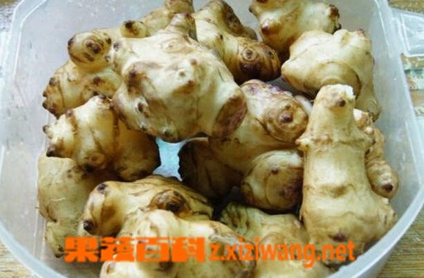 果蔬百科洋姜怎么吃好