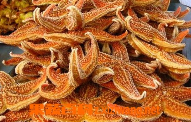 果蔬百科干海星怎么吃
