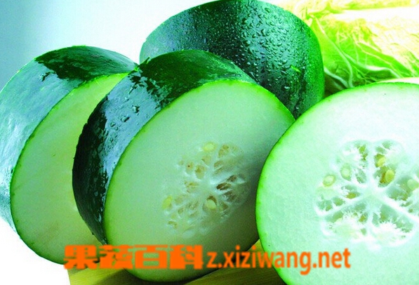 果蔬百科常吃冬瓜的好处有哪些
