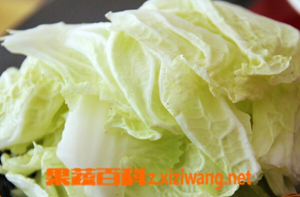 果蔬百科白菜属于什么科的蔬菜