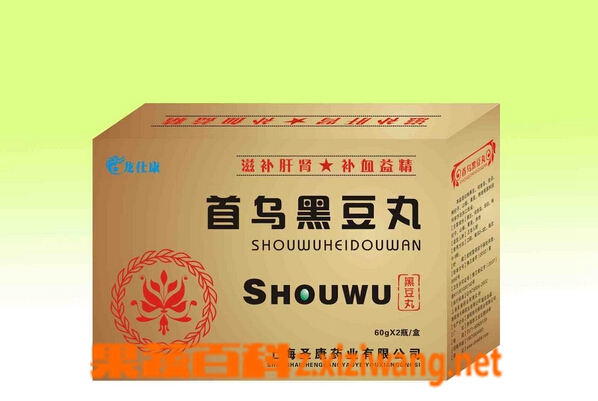 果蔬百科首乌黑豆丸