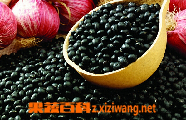 果蔬百科黑豆怎么吃最好