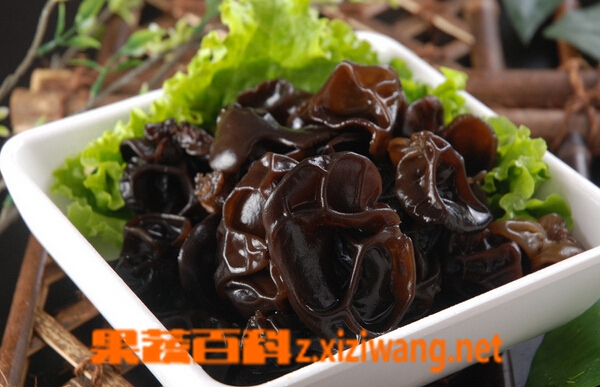 果蔬百科怎么吃黑木耳最科学