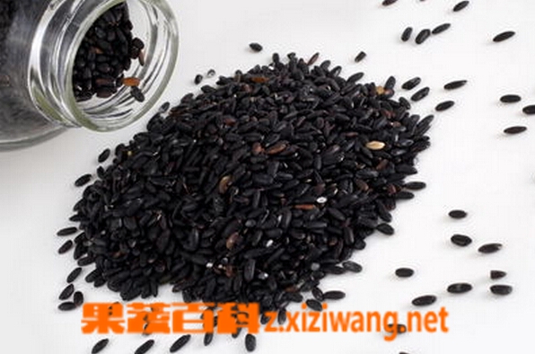 果蔬百科芝麻的功效与作用