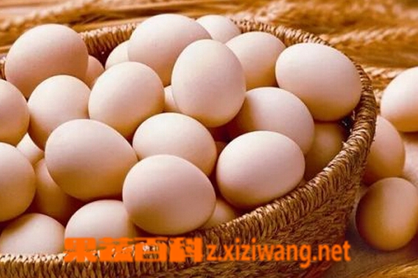 果蔬百科咳嗽能吃鸡蛋吗