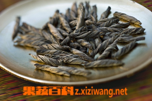 果蔬百科喝苦丁茶的好处有什么