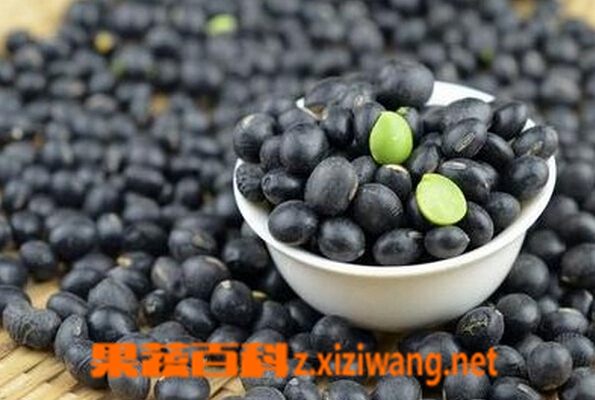 果蔬百科绿芯黑豆的功效与作用
