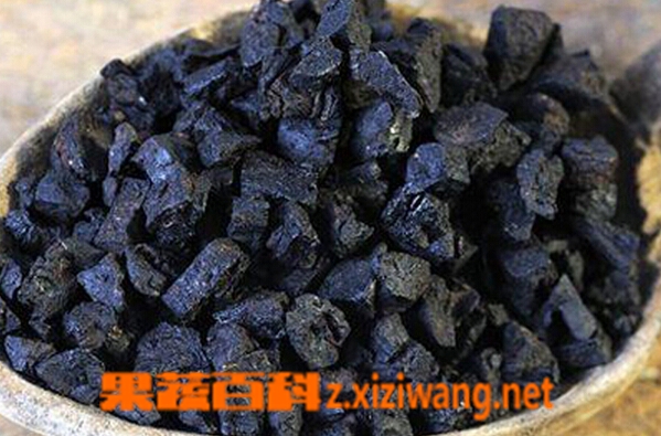 果蔬百科中药熟地的功效与作用