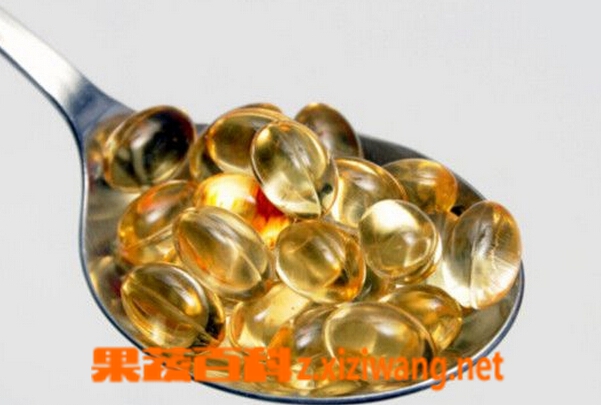 果蔬百科鱼油和鱼肝油的区别
