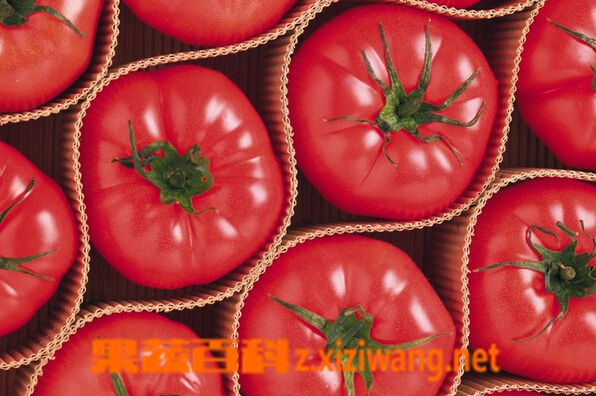 果蔬百科西红柿的营养价值及食用方法