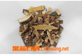 中药苦楝皮的功效与作用