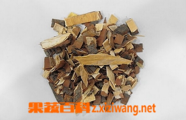 果蔬百科苦楝皮