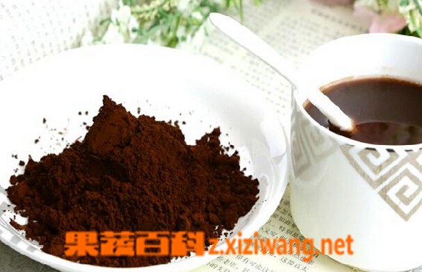 果蔬百科灵芝孢子粉的功效与作用