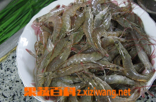果蔬百科河虾的功效与作用
