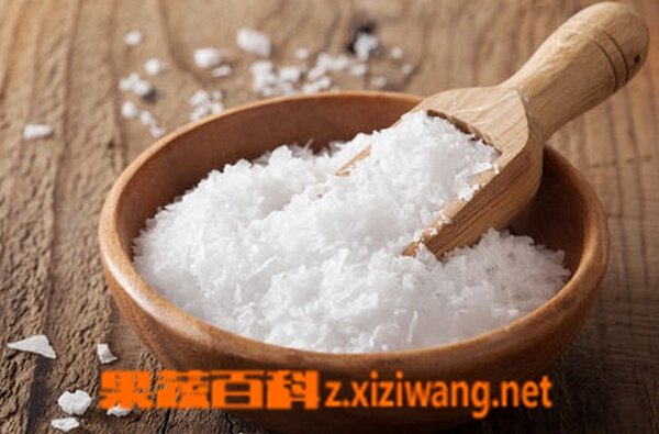 果蔬百科食盐能护肤