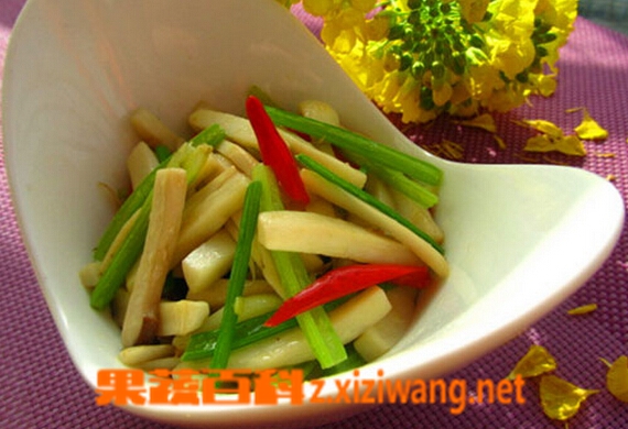 果蔬百科杏鲍菇怎么吃好